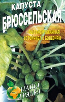 Капуста Брюссельська пакет 50 насінин.