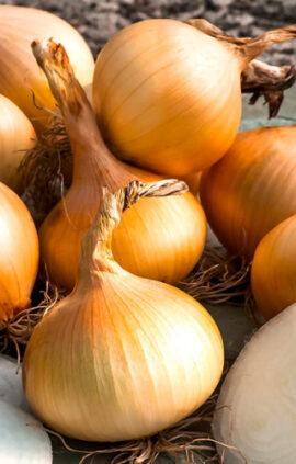 Цибуля Шетана сітка 1 кг розмір 10/12