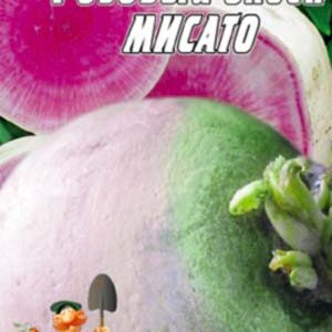 Дайкон Рожевий блиск Місато пакет 10 грам