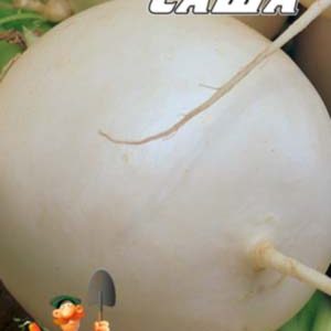 Дайкон Саша пакет 10 грам