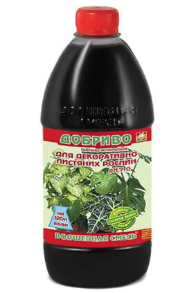 Добриво для декоративних листяних 500 мл Чарівна суміш