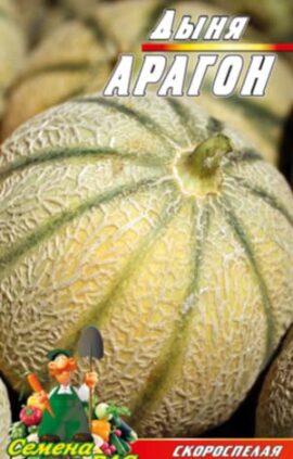 Диня Арагон F1 пакет 30 насінин