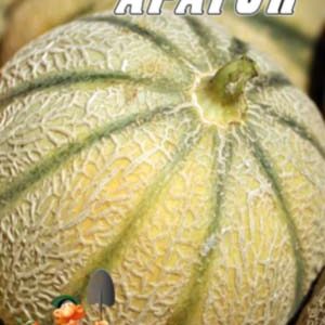 Диня Арагон F1 пакет 30 насінин