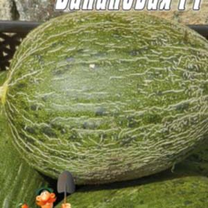 Диня Бананова F1 пакет 30 насінин.