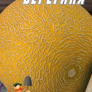 Диня Берегиня пакет 30 насінин