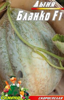 Диня Бланко F1 пакет 30 насінин