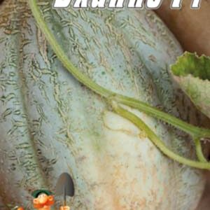 Диня Бланко F1 пакет 30 насінин