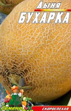 Диня Бухарка пакет 30 насінин