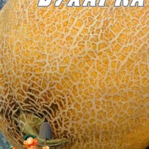 Диня Бухарка пакет 30 насінин