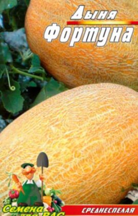 Диня Фортуна пакет 30 насінин