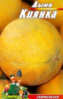 Диня Киянка пакет 30 насінин