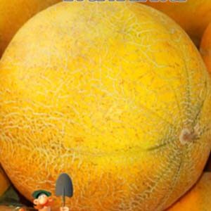 Диня Киянка пакет 30 насінин