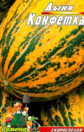 Диня Цукерка пакет 30 насінин