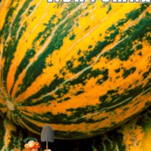 Диня Цукерка пакет 30 насінин