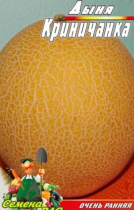 Диня Криничанка пакет 30 насінин