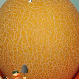 Диня Криничанка пакет 30 насінин