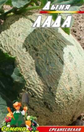 Диня Лада пакет 30 насінин