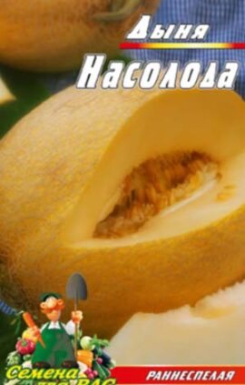 Диня Насолода пакет 30 насінин