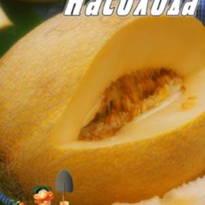 Диня Насолода пакет 30 насінин