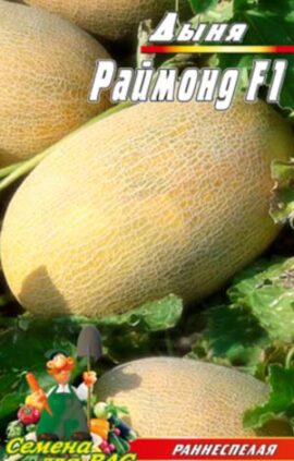 Диня Раймонд F1 пакет 30 насінин.