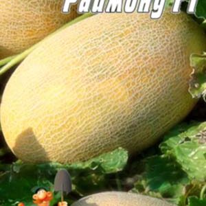 Диня Раймонд F1 пакет 30 насінин.