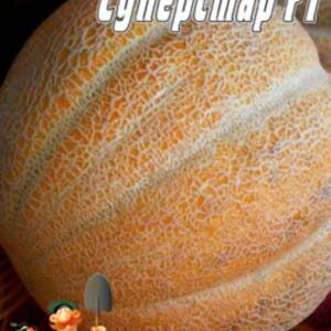 Диня Суперстар F1 пакет 30 насінин