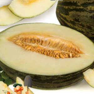 Диня Тендраль пакет 30 насінин