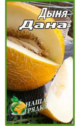 Диня Дана пакет 40 насінин
