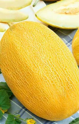 Диня Ананас пакет 30 насінин