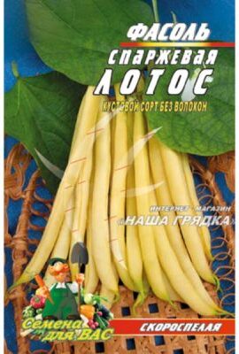 Квасоля спаржева Лотос пакет 10 грамів