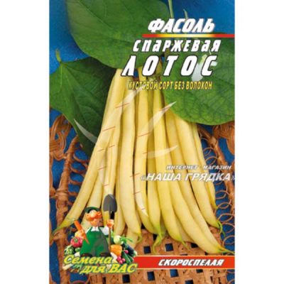 Квасоля спаржева Лотос пакет 10 грамів