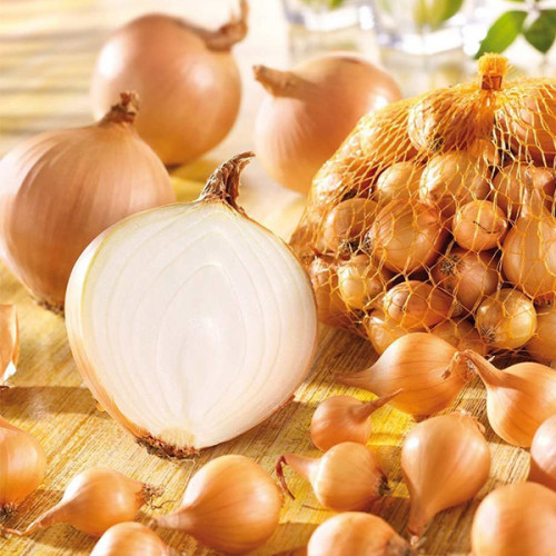 Цибуля Штутгартер Різен сітка 1 кг розмір 10/12