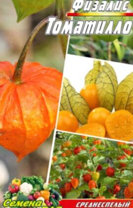 Фізаліс Томатілло