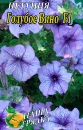 Петуния Голубое Вино F1 пакет 0