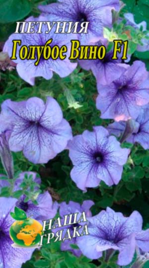 Петуния Голубое Вино F1 пакет 0