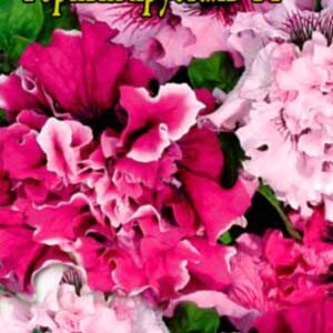Петуния Горный хрусталь F1 пакет 0