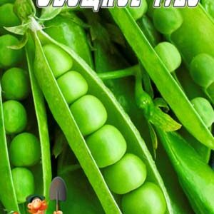 Горох Овочеве диво пакет 10 грам