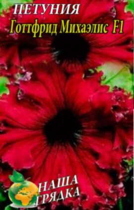 Петуния Готтфрид Михаэлис F1 пакет 0