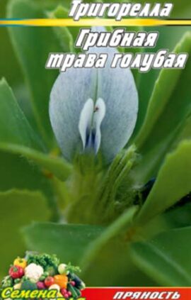 Грибна трава Тригорелла блакитна