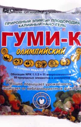 Препарат Гумі-К олімпійський нано-гель 300 г