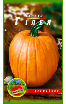 Гарбуз Гілея пакет 5 грамів