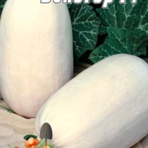 Кабачок Білогір F1 пакет 30 насінин