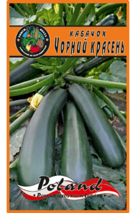 Кабачок Чорний красень пакет 120 насінин