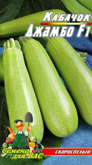 Кабачок Джамбо F1 пакет 30 насінин.