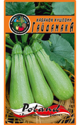 Кабачок Гайдамака пакет 120 насінин