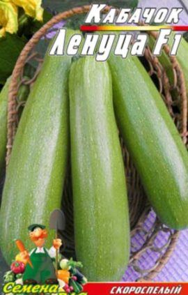 Кабачок Лєнуца F1 пакет 30 насінин.