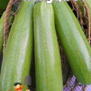 Кабачок Лєнуца F1 пакет 30 насінин.