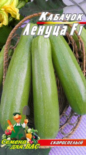 Кабачок Лєнуца F1 пакет 30 насінин.