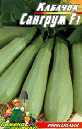 Кабачок Сангрум F1 пакет 30 насінин.