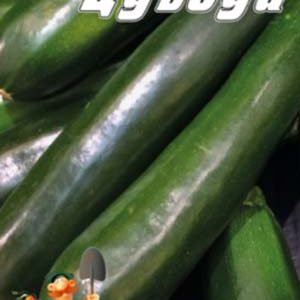 Кабачок Цубода пакет 30 насінин.